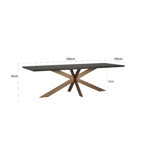 Bonita Parquet Black & Brass Frame Rectangle 8-10 Seater Dining Table Large